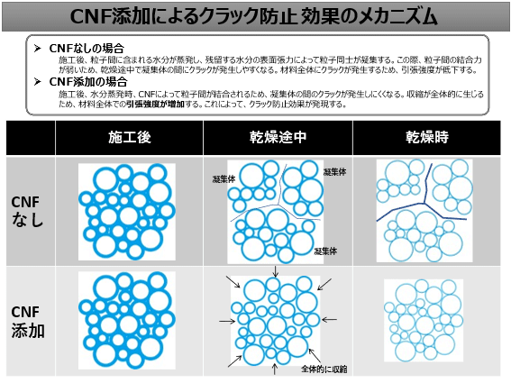CNF（セルロースナノファイバー）の顕微写真